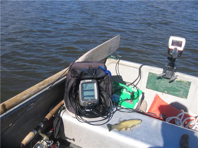 change dictionary  office