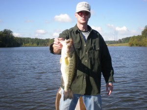greenback