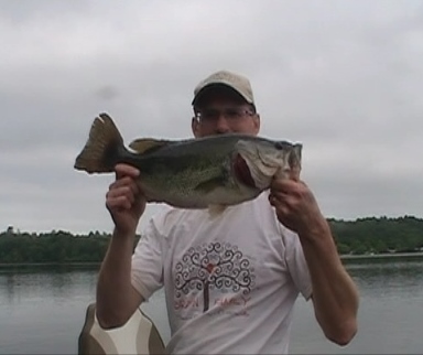 4 Pounds 11 Ounces