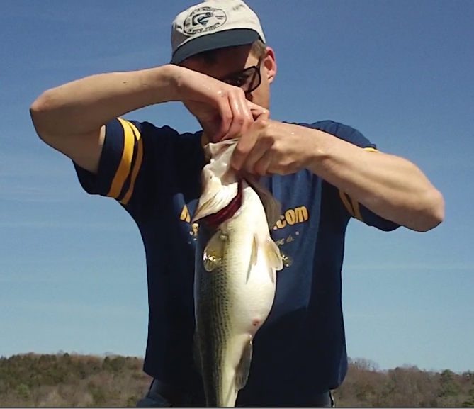 5 lb, 11 ounce largemouth bass