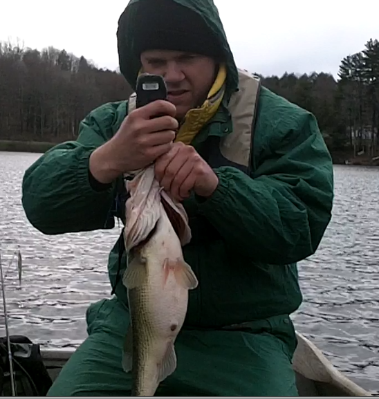 5 lb, 11 ounce largemouth bass