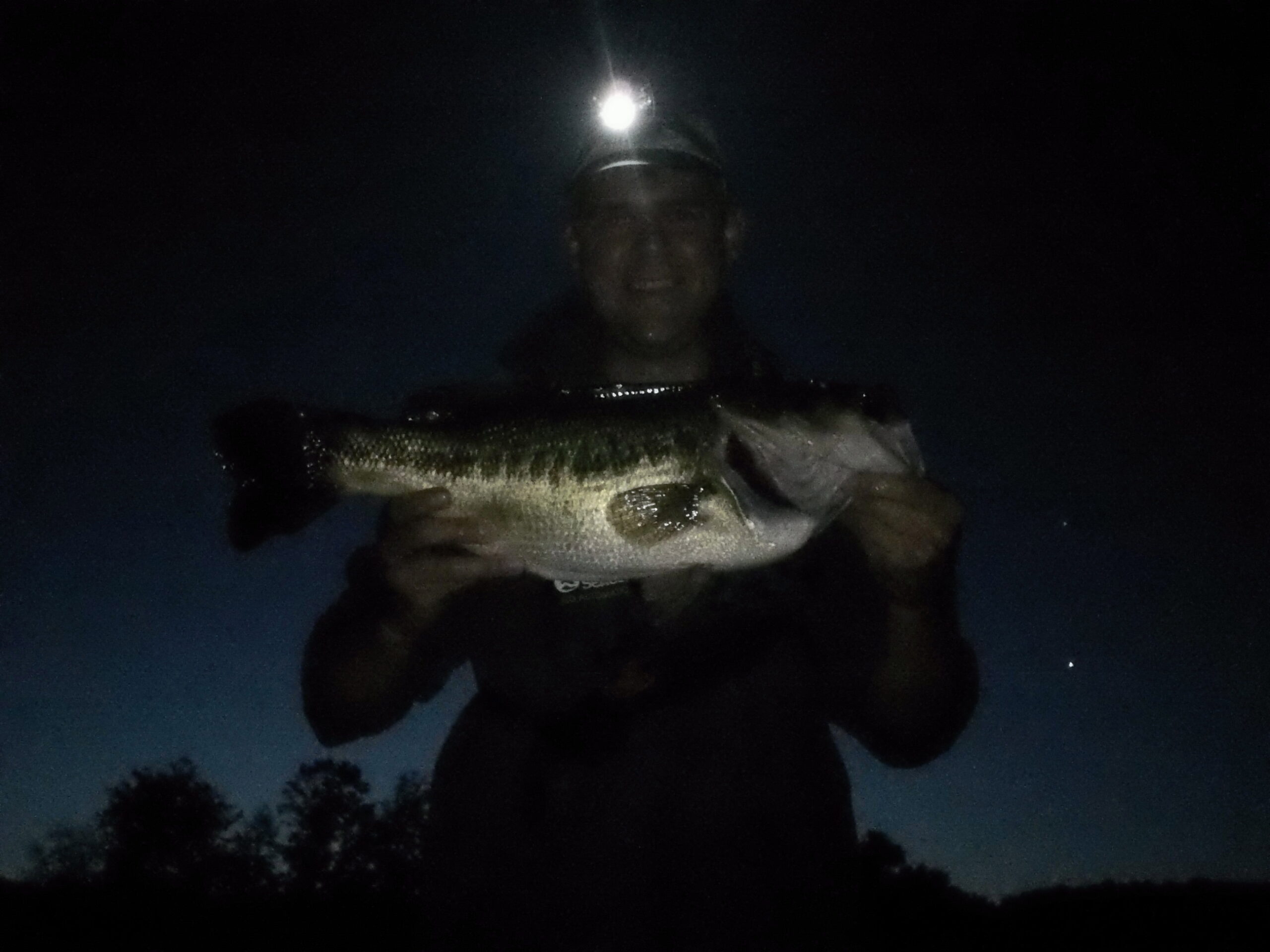 7 lb, 1 ounce largemouth bass