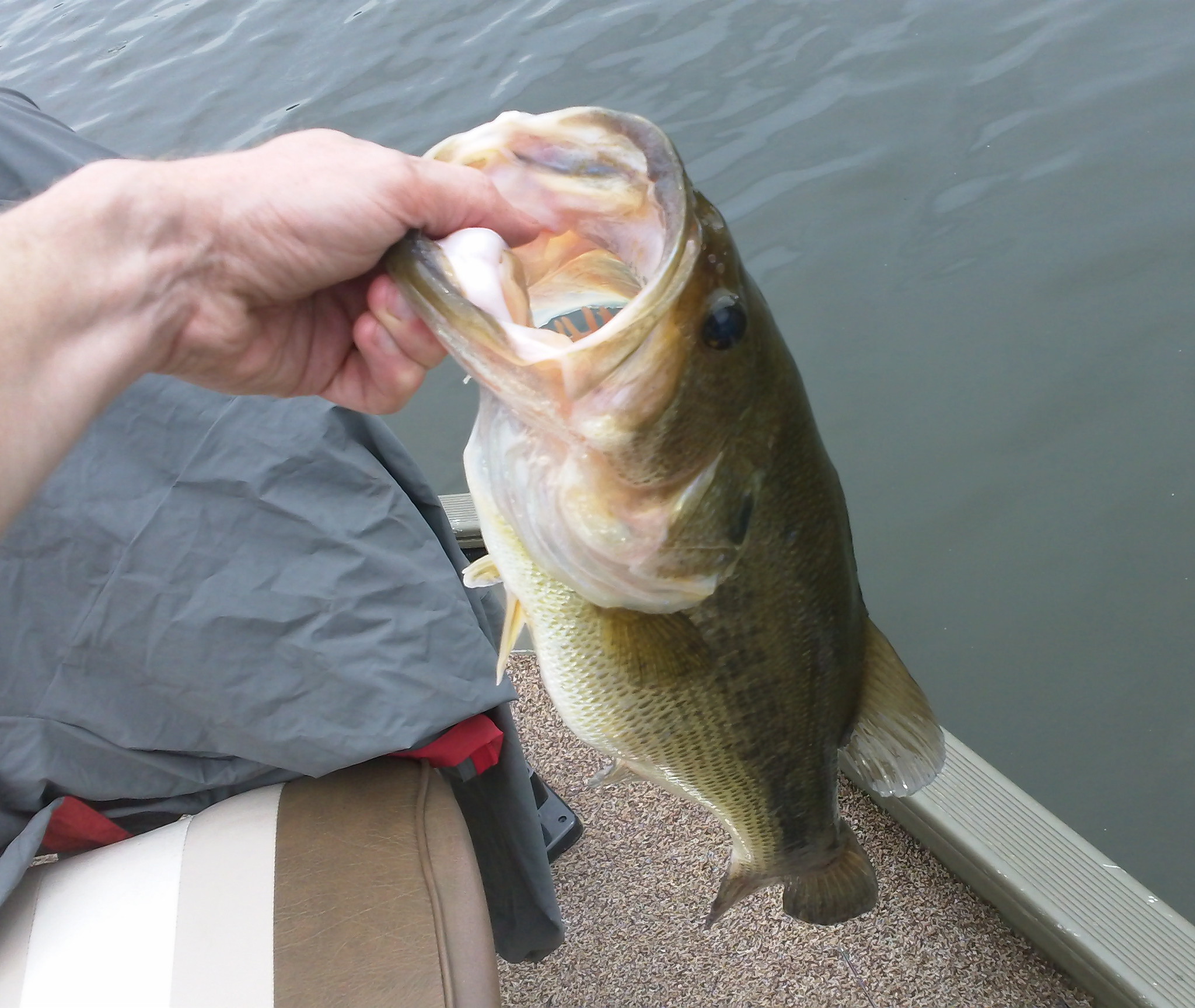 4 Pound 1 Ounce Largemouth B Heap Hunters Fishing Blog 4 Pounds 1 Ounce
